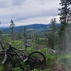 2006 Specialized Enduro SX Trail II Silver, gray or bare metal