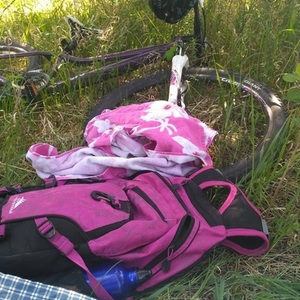 2015 Giant Tempt 4 Purple Black