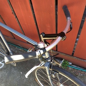 1994 Bridgestone MB-1 Silver or Gray