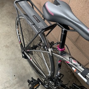 2015 Trek Lexa Silver, gray or bare metal