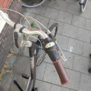 Giant Ultimo Silver, gray or bare metal