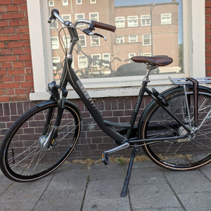 Giant Ultimo Silver, gray or bare metal