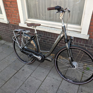 Giant Ultimo Silver, gray or bare metal