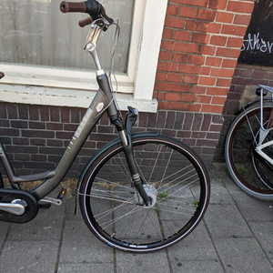 Giant Ultimo Silver, gray or bare metal