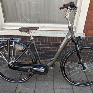 Giant Ultimo Silver, gray or bare metal