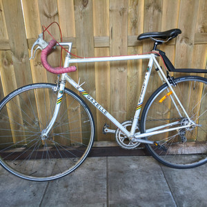 Gazelle Champion Mondial White