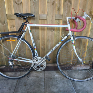 Gazelle Champion Mondial White