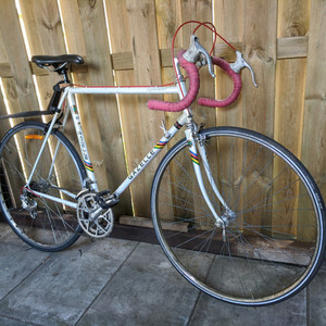 Gazelle Champion Mondial White