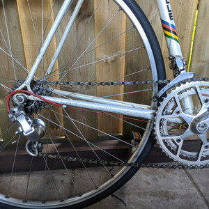 Gazelle Champion Mondial White