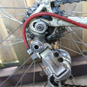 Gazelle Champion Mondial White