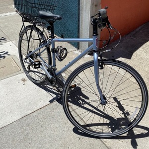 2016 Jamis coda sport (femme) Silver, gray or bare metal and Blue