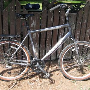 Specialized Expedition Silver, gray or bare metal