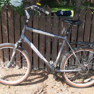 Specialized Expedition Silver, gray or bare metal