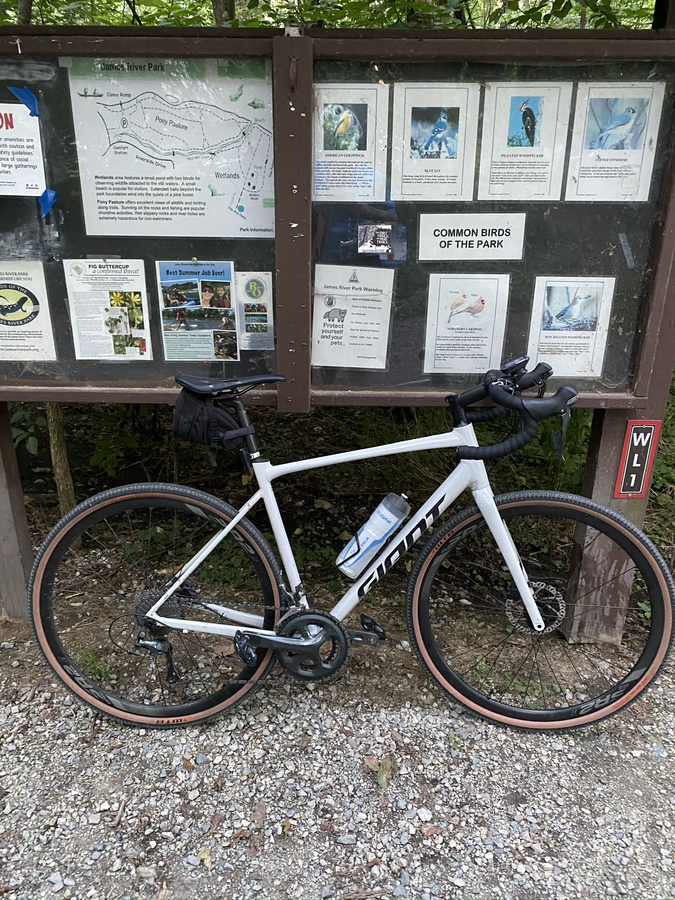 giant contend ar 2 2020