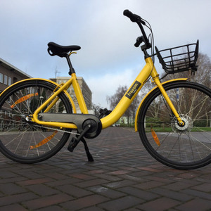 Other Frooom Yellow or Gold