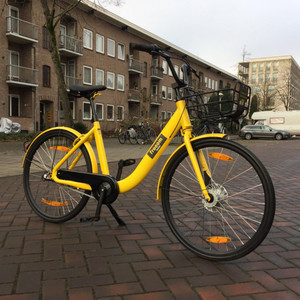 Other Frooom Yellow or Gold