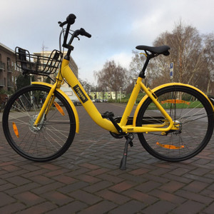 Other Frooom Yellow or Gold