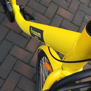 Other Frooom Yellow or Gold