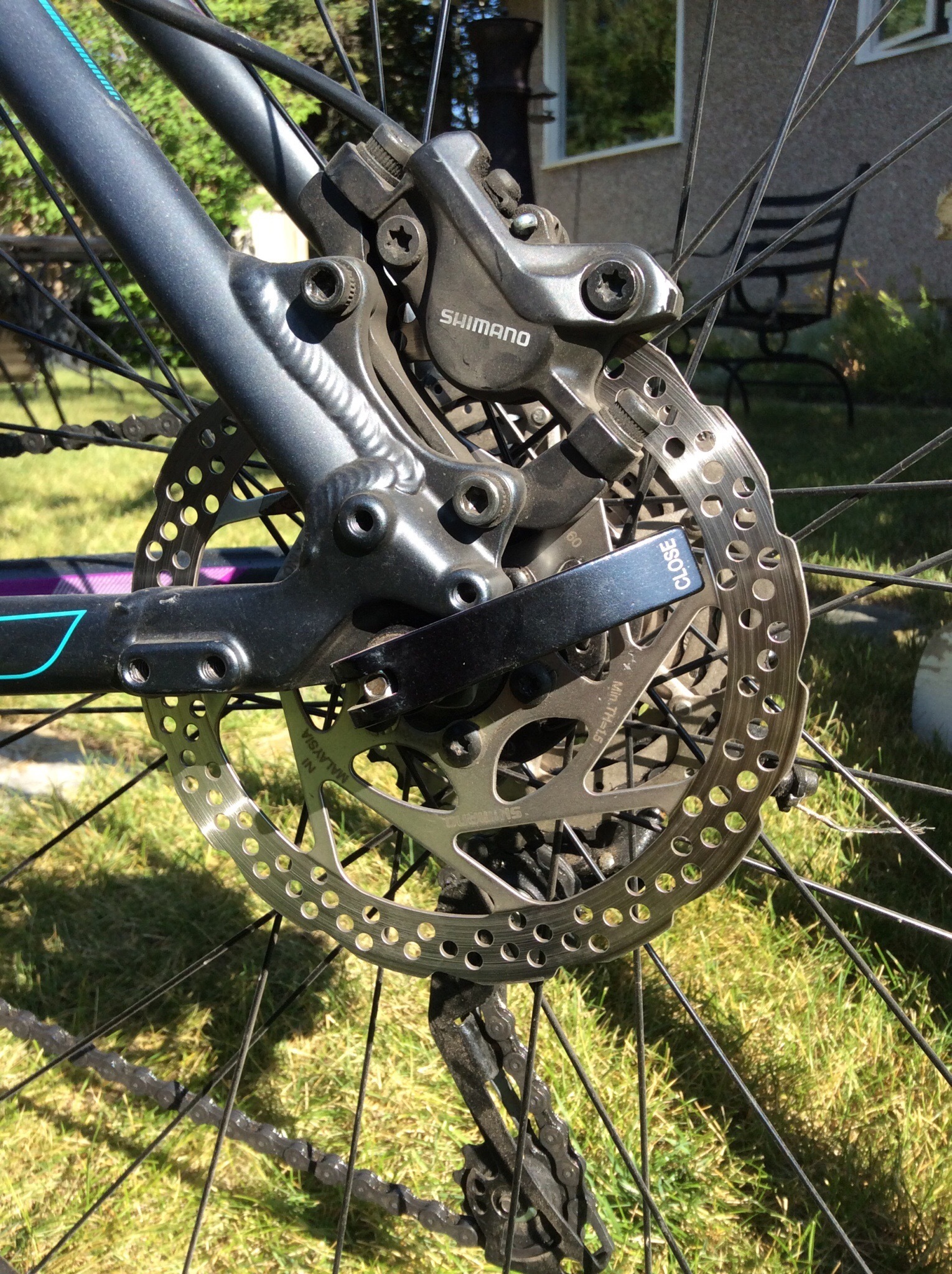 giant rove 1