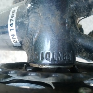 Rocky Mountain Bicycles Flare Silver, gray or bare metal