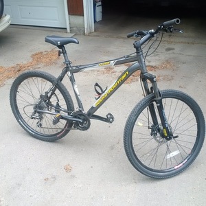 Rocky Mountain Bicycles Flare Silver, gray or bare metal