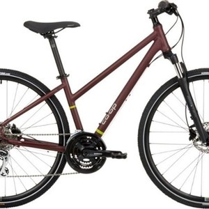 2020 REI CTY 2.1 Brown