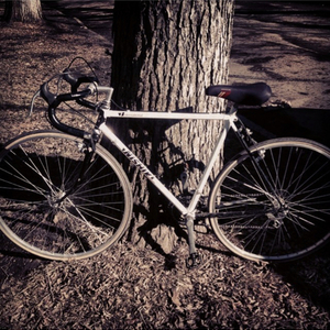 Nishiki White