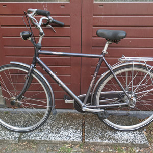 Sparta Atlantis Silver, gray or bare metal