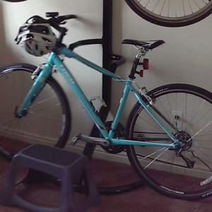 2012 Trek 7.4 FX WSD Teal