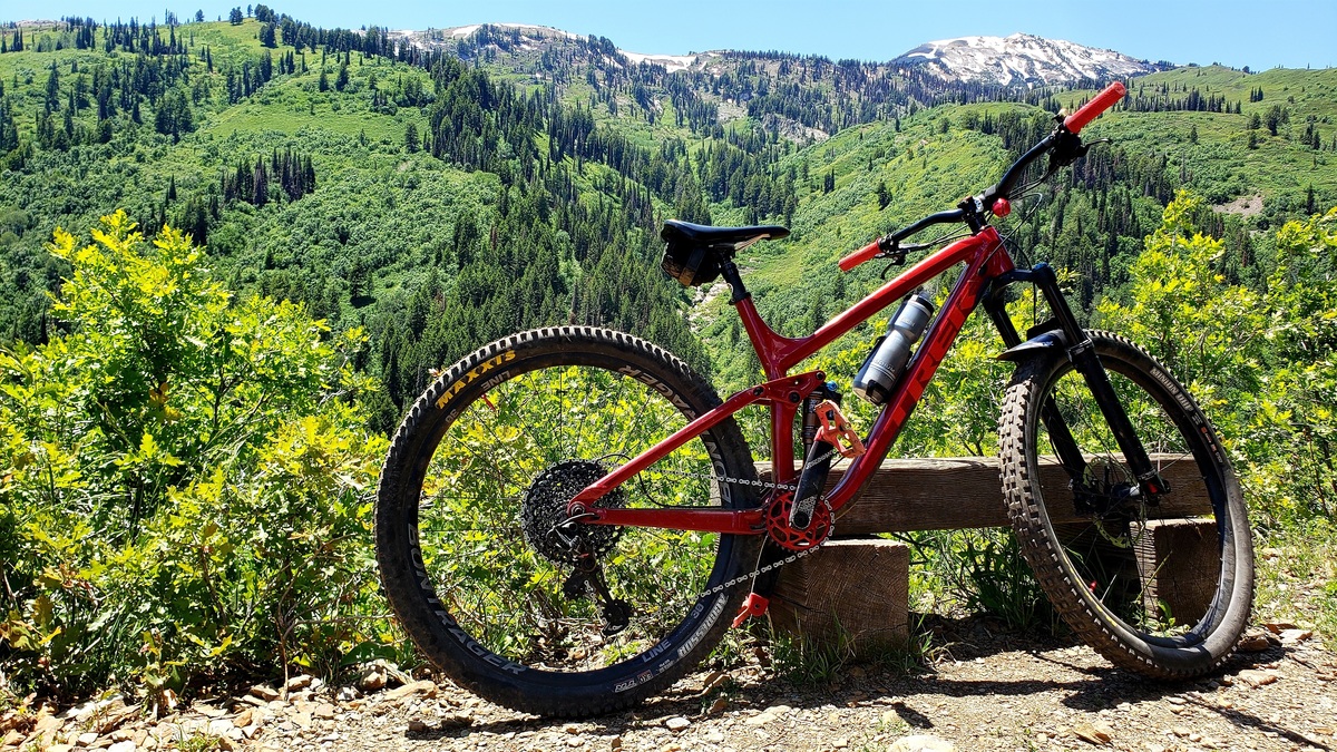 2019 trek fuel ex 8