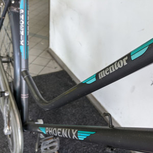 Other Phoenix Mentor Silver, gray or bare metal