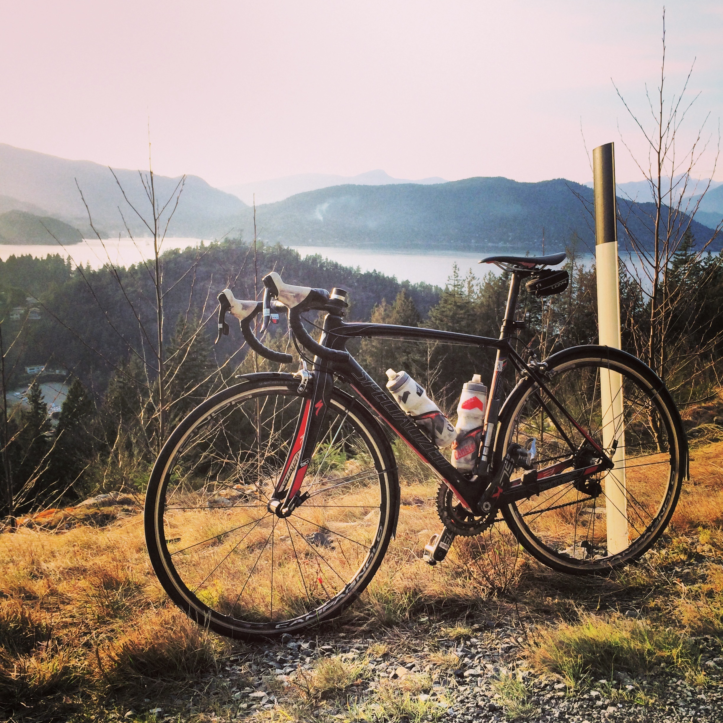 Stolen 2012 Specialized Tarmac SL3 Expert Mid-Compact