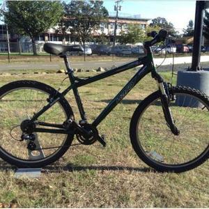 Haro Flightline Intro CO Green