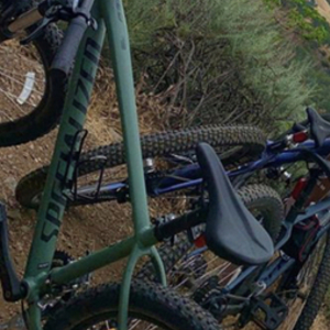 2019 Specialized Green