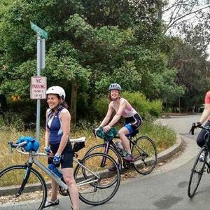 Novara Silver or Gray and White