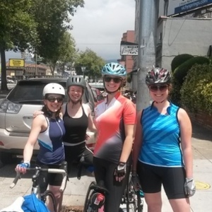 Novara Silver or Gray and White