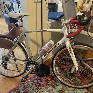 2013 Novara Carema Silver, gray or bare metal, White, and Red