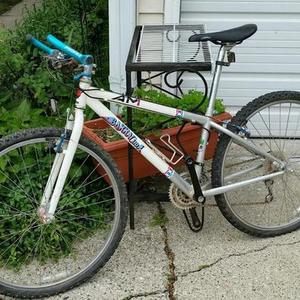 1994 Barracuda A2M Teal, White, and Silver or Gray