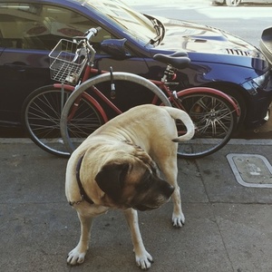 2012 PUBLIC Diamond frame Red with basket