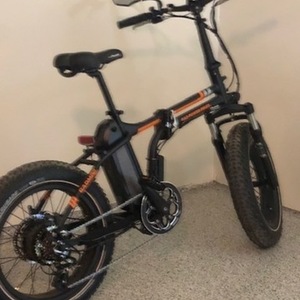2019 Rad Power Bikes Radmini Black