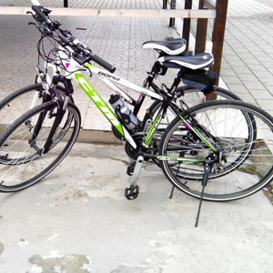 2013 CTM BORA 2.0 White and Green