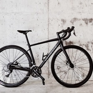 2020 Specialized Diverge E5 Black