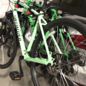 2020 Specialized Spec 20 Green