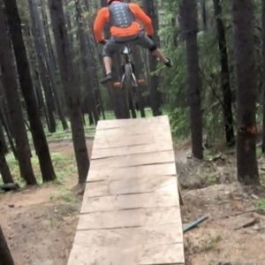 2014 Devinci Wilson Black