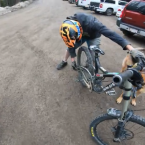 2014 Devinci Wilson Black