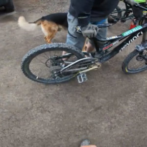 2014 Devinci Wilson Black