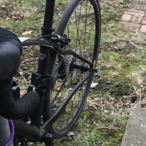 Specialized Dolce Purple and Teal