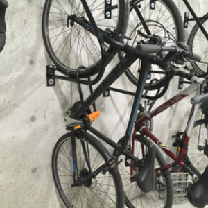 Specialized Black