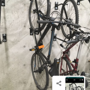 Specialized Black