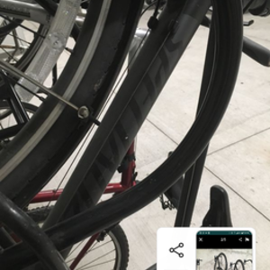 Specialized Black